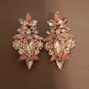 Express Earrings